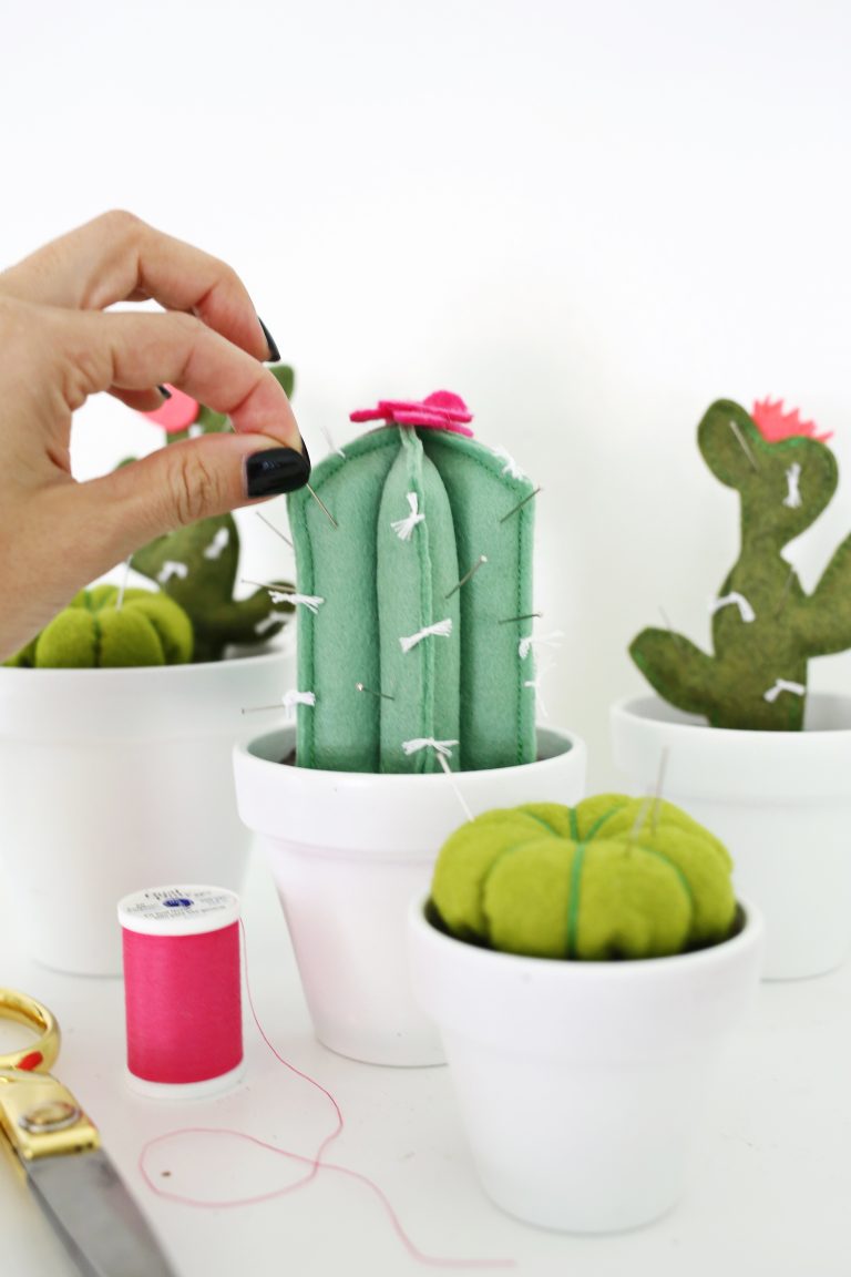 DIY speldenkussen cactus